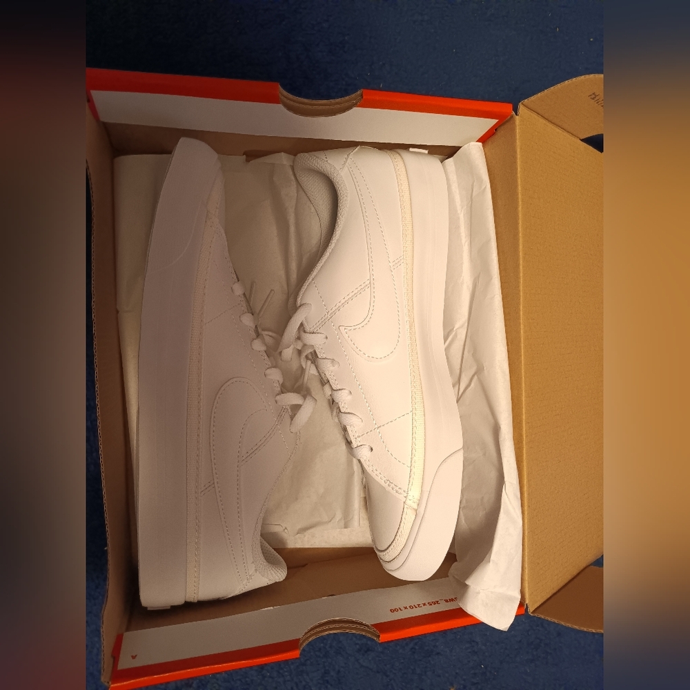 Nike court legacy shoes